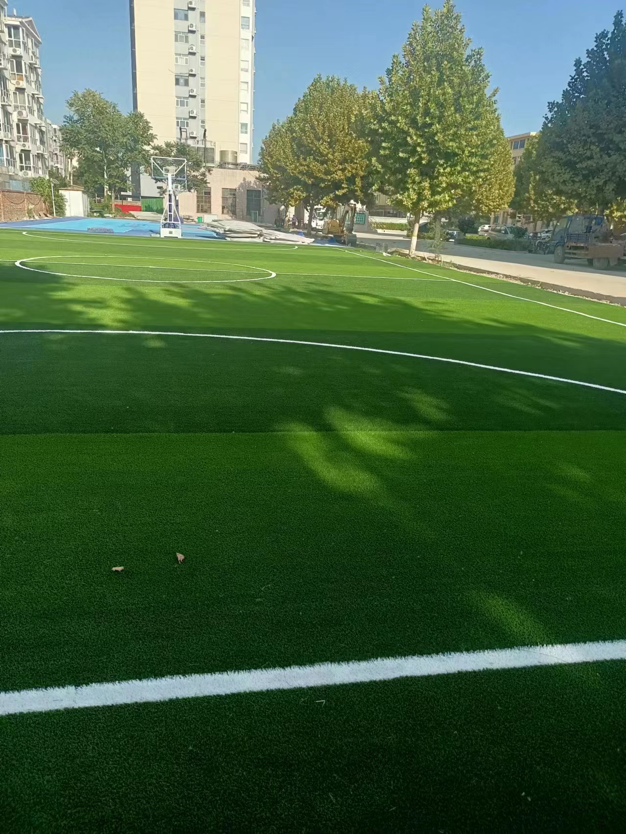 1667981463188857.jpg d50b4a441b6cd8404d1230ab140a1fc.jpg