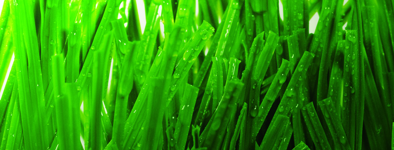 1673148993585509.jpg v2.jpg