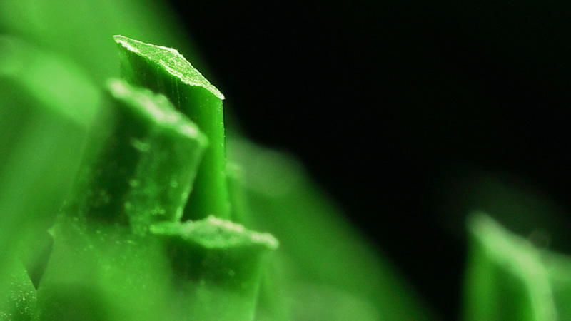 1673161291120146.jpg 1.jpg